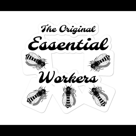 Meet your Posher, Kenly - Picture 4 of 8